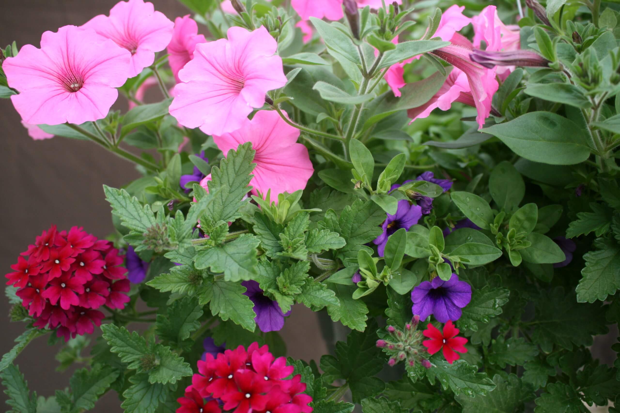 12-2-1 - Image 4